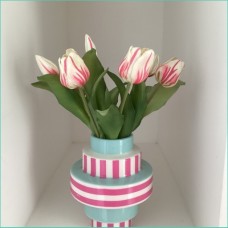 Tulpen